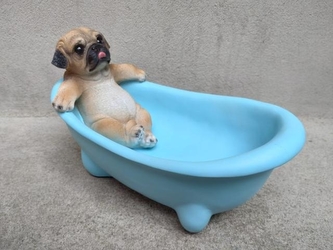 Pítko - obal pes ve vaně