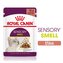 Kapsička Royal Canin FHN Sensory Smell ve stave 12 x 85g