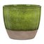 Obal 920 Flora 19