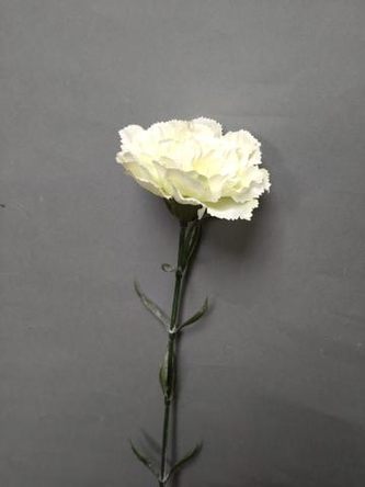 Karafiát světle žlutý