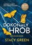 Dokonalý hrob