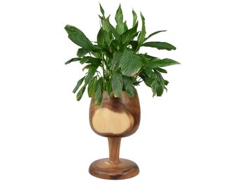 Dřevěný podstavec pod rostliny Goblet 46 cm