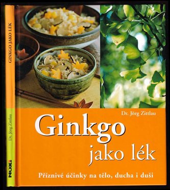 Ginkgo jako lék