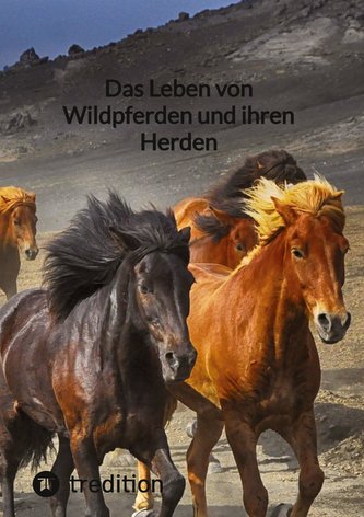 Das Leben von Wildpferden und ihren Herden