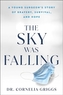 The Sky Was Falling