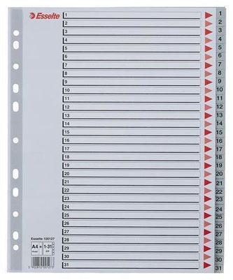 Barevné rejstříky, šedá, A4 Maxi, plast, 1-31, ESSELTE