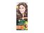 Garnier Color Naturals Barva na vlasy 40 ml 6 Dark Blonde pro ženy