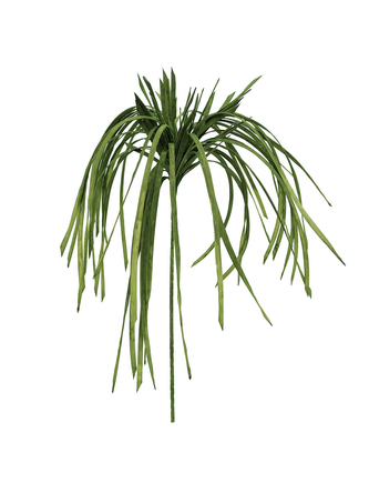 Mořská tráva (EVA), zelená, 145 cm