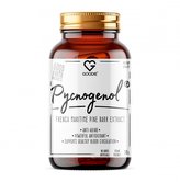 Pycnogenol - extrakt z kůry francouzské mořské borovice - French Maritime Pine Bark extract - 30 ks