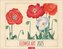 Flower Art Kalender 2025