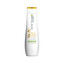 Biolage Vyhlazující šampon pro silné a krepaté vlasy Biolage SmoothProof (Shampoo) Vyhlazující šampon pro silné a krepaté vlasy Biolage SmoothProof (Shampoo) - Objem 250 ml woman