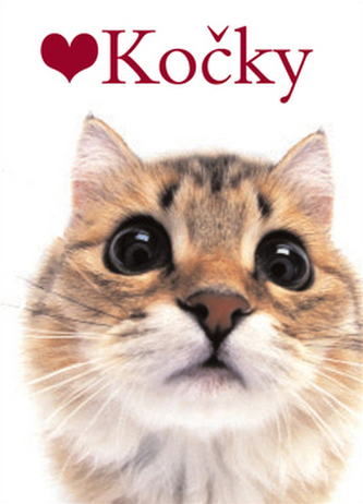 Kočky
