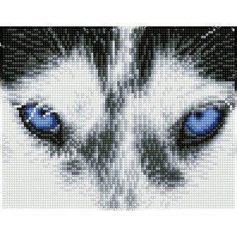 DIAMOND DOTZ Husky s rámem