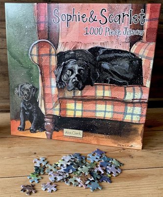 Puzzle 1000 J08 Psy Sophie&Scarlett;