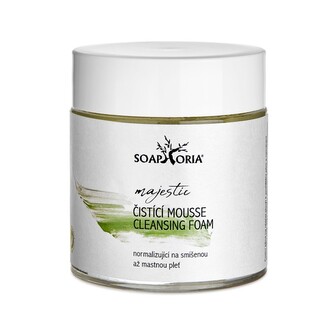 Soaphoria Osvěžující & normalizující čisticí pěna na smíšenou až mastnou pleť (Cleansing Foam) 150 ml woman