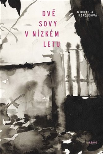 Dvě sovy v nízkém letu Dvě sovy v nízkém letu