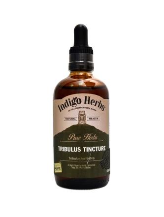 Salvia paradise - Maca prášek lepidium meyenii BIO 250g