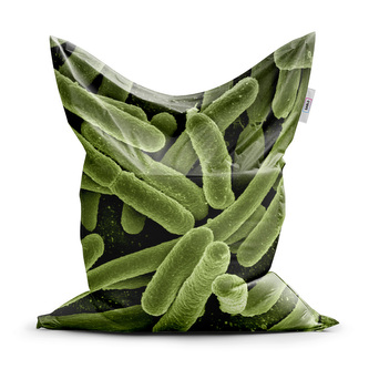 Sedací vak Bakterie: 150x100 cm