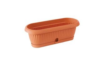 květ.kaktus.TERRA DCK1 265mm