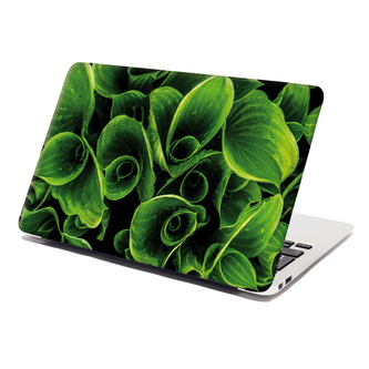 Samolepka na notebook Zelené listy: 38x26 cm