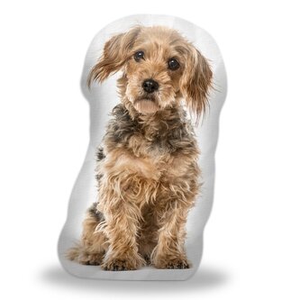 3D polštář ve tvaru Kříženec