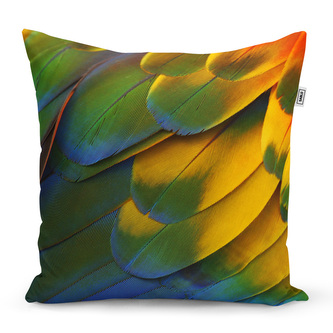 Polštář Barevné peří: 40x40 cm