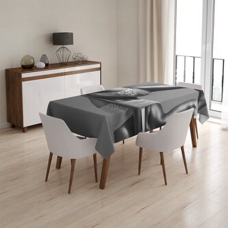 Ubrus Pole dancer: 145x240 cm