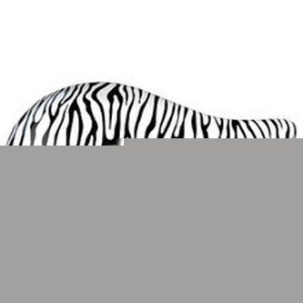 Dtangler Kartáč na vlasy s rukojetí Kartáč na vlasy s rukojetí - Varianta Zebra White woman