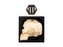 Philipp Plein The $kull Parfém Gold 125 ml unisex