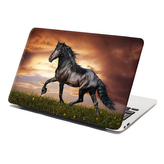 Samolepka na notebook Friský kůň: 38x26 cm
