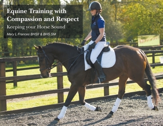 Equine Training with Compassion and Respect