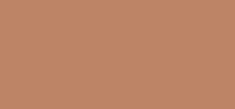 Bobbi Brown Bronzující pudr (Bronzing Powder) 9 g Odstín Golden Tan woman