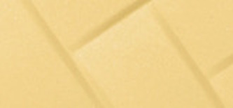 Bobbi Brown Kompaktní pudr s hydratačním účinkem (Vitamin Enriched Pressed Powder) 8 g Odstín Yellow woman