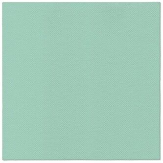 Ubrousky PAW AIRLAID 40x40 cm Monocolor (mint)