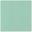 Ubrousky PAW AIRLAID 40x40 cm Monocolor (mint)