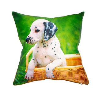 Forbyt  Fotopolštář, Dalmatín, 40 x 40 cm polštář (návlek + vnitřek)