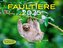 Faultiere Kalender 2025 Wandkalender