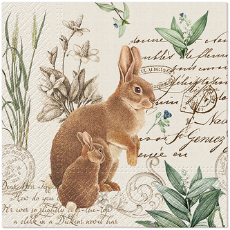 Ubrousky PAW L 33x33cm Mystery Bunny
