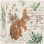 Ubrousky PAW L 33x33cm Mystery Bunny