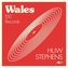 Wales - 100 Records