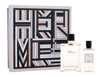 Hermes Terre d´Hermes toaletní voda 100 ml + sprchový gel 80 ml
