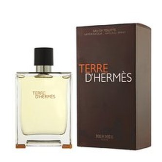 Hermes Terre D´Hermes Toaletní voda 200 ml pro muže Tester