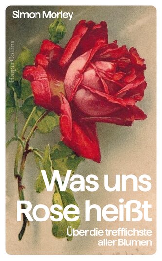 'Was uns Rose heißt'. Über die trefflichste aller Blumen