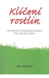Klíčení rostlin
