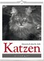 Katzen - Literarisch durchs Jahr 2025