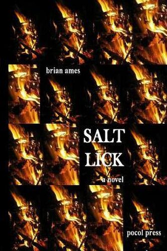Salt Lick