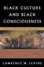 Black Culture and Black Consciousness