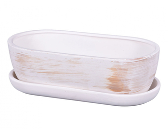Truhlík KAKTUS O WHITE + podmiska keramický matný 34cm