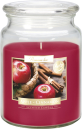 Svíčka ve skle JABLKO-SKOŘICE 500g