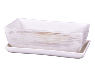 Truhlík KAKTUS WHITE + podmiska keramický matný 30cm